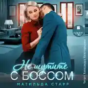 Постер книги Не шутите с боссом