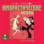 Постер книги Юмористические рассказы