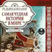 Постер книги Самая чудная история в мире