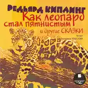 Постер книги «Как леопард стал пятнистым» и другие сказки