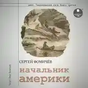 Постер книги Начальник Америки