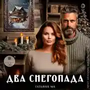 Постер книги Два снегопада