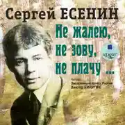 Постер книги Не жалею, не зову, не плачу