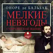 Постер книги Мелкие невзгоды супружеской жизни