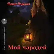 Постер книги Мой чародей