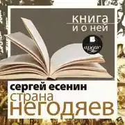 Постер книги «Страна негодяев» + Книга и о ней