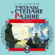 Постер книги Рассказы о Степане Разине