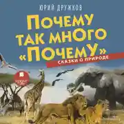 Постер книги Почему так много «почему». Сказки о природе