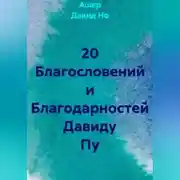Постер книги 20 Благословений и Благодарностей Давиду Пу
