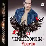 Постер книги Чёрные вороны 11. Ураган