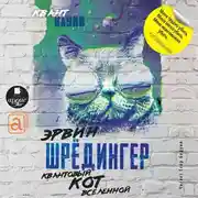 Постер книги Квантовый кот вселенной