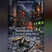 Постер книги Зимняя Перестрелка