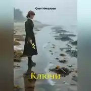 Постер книги Ключи