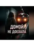 Дарья Вильд - Домой не доехала