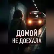 Постер книги Домой не доехала