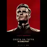 Постер книги Охота на Тигра 6. Комбриг