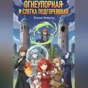 Постер книги «Огнеупорная и слегка подгоревшая»