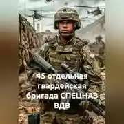 Постер книги 45 отдельная гвардейская бригада СПЕЦНАЗ ВДВ