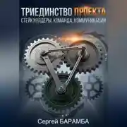 Постер книги Триединство проекта: Стейкхолдеры, Команда, Коммуникации