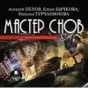 Постер книги Мастер снов