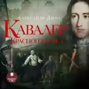 Постер книги Кавалер Красного замка