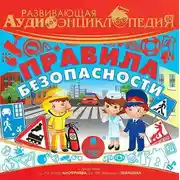 Постер книги Правила безопасности