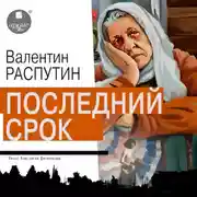 Постер книги Последний срок
