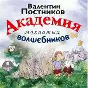 Постер книги Академия мохнатых волшебников