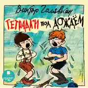 Постер книги Тетрадки под дождём