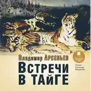 Постер книги Встречи в тайге