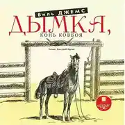 Постер книги Дымка. Конь ковбоя