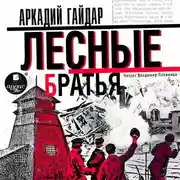 Постер книги Лесные братья (Давыдовщина)
