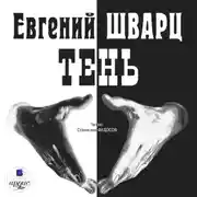 Постер книги Тень