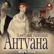 Постер книги Проступок господина Антуана