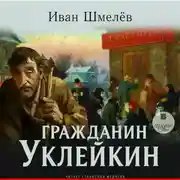Постер книги Гражданин Уклейкин