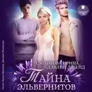Постер книги Тайна эльвернитов