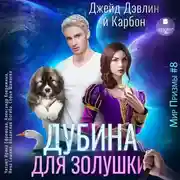 Постер книги Дубина для Золушки
