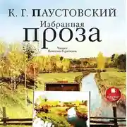 Постер книги Избранная проза