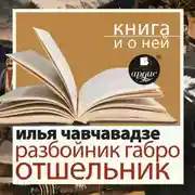 Постер книги «Разбойник Габро. Отшельник» + Книга и о ней