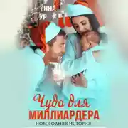 Постер книги Чудо для миллиардера