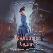 Постер книги Трудовые будни барышни-попаданки. Книга 2