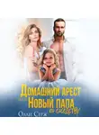 Олли Серж - Домашний арест или Новый папа по соседству