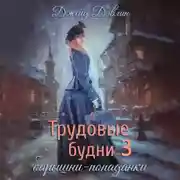 Постер книги Трудовые будни барышни попаданки. Книга 3