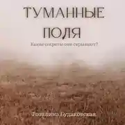 Постер книги Туманные поля
