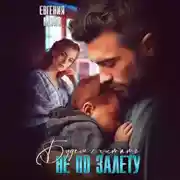 Постер книги Не по залету