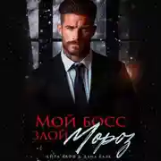 Постер книги Мой босс – злой Мороз!