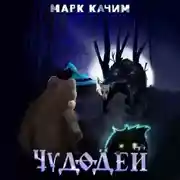 Постер книги Чудодей