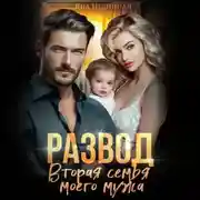 Постер книги Развод. Вторая семья моего мужа