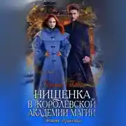 Постер книги Нищенка в Королевской Академии магии. Зимняя практика 2