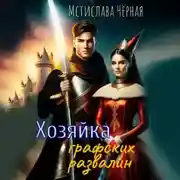 Постер книги Хозяйка графских развалин